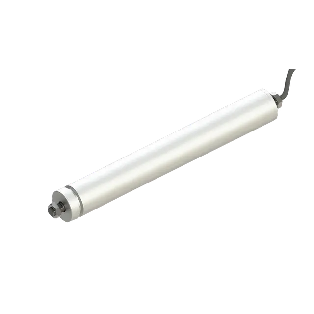 एक मोटराइज्ड रोलर कितना वजन ले सकता है?